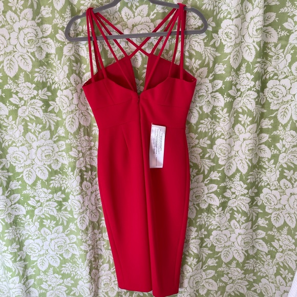 BCBGMaxAzria Sidonia Dress - Picture 5 of 11